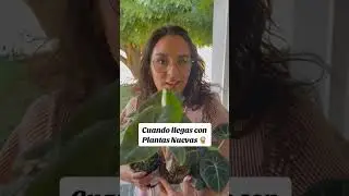 Pues de donde más, de la Tierra #jardin #plantlover #plantasdecasa #plantlove #plantas #garden