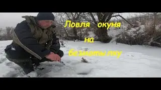 PERCH FISHING WITH A JIGGER