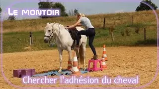 Problème au montoir? Travailler sur les émotions!
