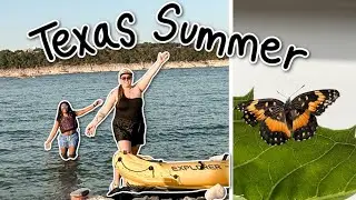 we adopted 100+ butterflies lol | austin vlogger