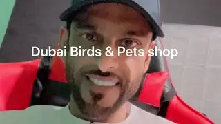جولة في سوق الطيور و الحيوانات الأليفة في دبي