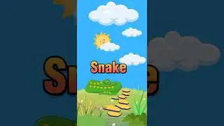 Animals name #animalsname #animation