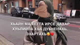 Дала декъал йойл хьо♥️