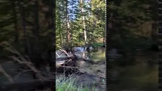 Video of Fourmile Campground, CO from Kelsie S.