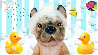 🐶 BAÑO a mi PERRITO ABANDONADO en la BAÑERA con MUCHAS BURBUJAS 🛁 🫧