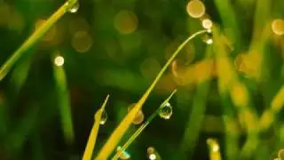 Season of Joy - Brian Crain