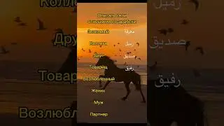 АРАБСКИЙ ЯЗЫК- уровни и типы отношений между людьми 