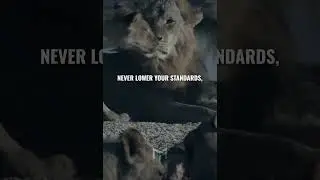 Be like a lion 
