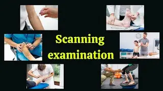 Scanning examination | patient assessment | physiotherapy
