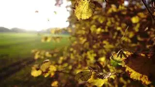 Free 4K Beautiful Nature - No Copyright Stock Video - Free Video Footage