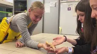 Экскурсия в экоцентр