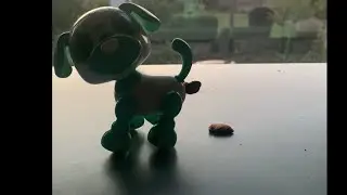 Dog n cat poop animation #animationvideo #shortsvideo #artandcraft #dogshorts #carshorts