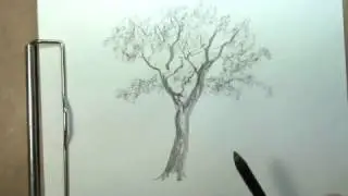 как нарисовать дерево