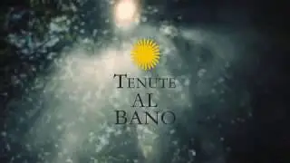 TENUTE ALBANO CARRISI