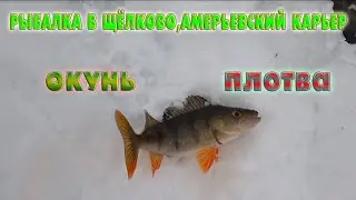 Рыбалка в г. Щёлково. Амерьевский карьер. Наконец-то клюёт!