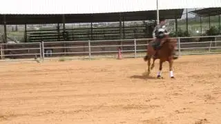 Dana Schiller reining horse  March 2013 first place on Professor Hollywood - 72