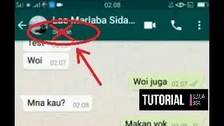Cara Membalas Pesan WhatsApp Tanpa Terlihat Online