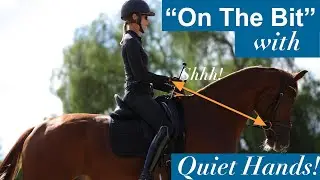 How do You get the Horse on the Bit and Keep Your Hands Quiet?