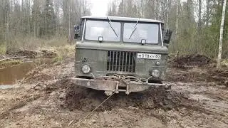 Шишига . minelab equinox 800