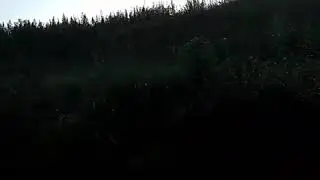 Вагит и вода лучшие друзья