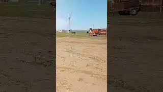 🌿☘️🍀🐮🐮🐄🐄🐄