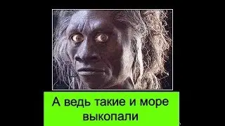 Они выкопали море ( друзья по ЗЕлени )