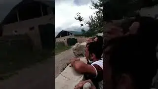 1 июня 2020 г.