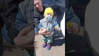 27.04.2023 Дима нашёл одуванчик  