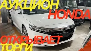 ЯНВАРЬ 2023 ЯПОНСКИЕ ТОРГИ НА АУКЦИОНЕ HAA KOBE
