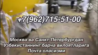 Москва Ташкент почта+79650496969