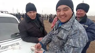 31-ДЕКАБРЬ/2024/КАРАОЗЕК МАЛ БАЗАРЫ/2024-ТЕ АКЫРГЫ МАЛ БАЗАР/ДЕМ БЕРМЕС МАЛ БАЗАР