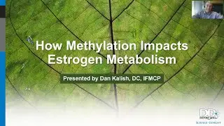 How Methylation Impacts Estrogen Metabolism