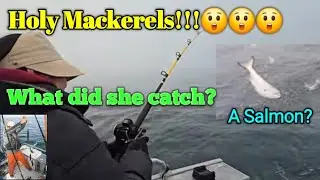 Oops...What did she catch?  Holy Mackerels 😲😲😲