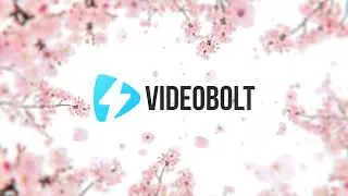 Sakura Blossom Reveal Logo Animation (intro template) |  YouTube Intro Maker