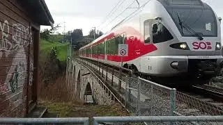 Stadler Flirt (S4) fährt über Sitterviadukt