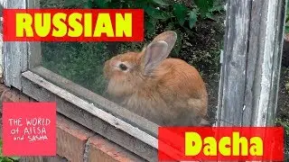 Russian dacha (what is it)