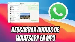 HOW TO DOWNLOAD WHATSAPP AUDIO ON PC MP3 🚀 Web and Desktop (TRICK) ✅