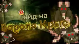 🌌ЛУЧШИЙ ГАЙД НА КОРОЛЯ КРЫС | Space Station 14