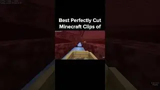 Best Perfectly Cut Minecraft Clips of 2023