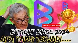 BITGERT BRISE | 2024 BUAT KEJUTAN UNTUK HOLDER ?