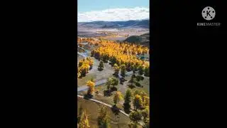 Песня: Lizer - пачка сигарет разными голосами.