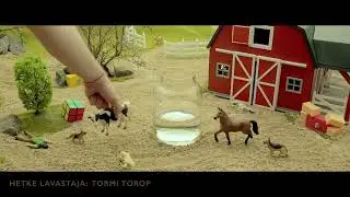 1-minutifilm 2022 - Vaba Tahe