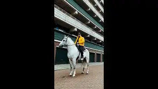 Güzel şeyler zaman alır🤣🐎💫✨ #shorts