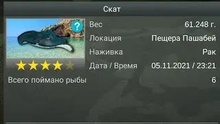 | My Fishing World | ФАРМ Для подписчиков | Фарм Ската |