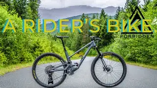 Forbidden Bikes are Next Level || Druid and Dreadnought