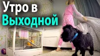 ☼ МОЁ УТРО \ MY MORNING ROUTINE ☼Barvina. Утро выходного дня  школьника.