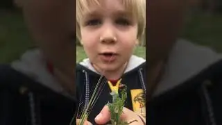 Как приручить двух Жуков
