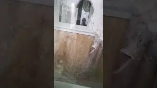 Всем пока