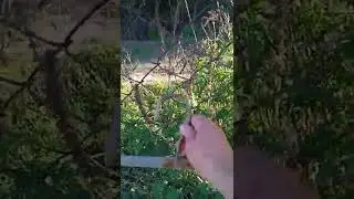 Держатель
