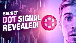 Urgent DOT Signal: Is Polkadot About to Make Millionaires Again?